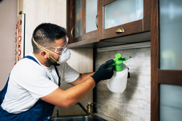 Best Best Pest Control Companies  in Lagunitas Forest Knolls, CA