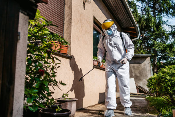 Best Wasp Removal Services  in Lagunitas Forest Knolls, CA