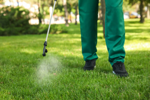 Best Pest Removal Services  in Lagunitas Forest Knolls, CA