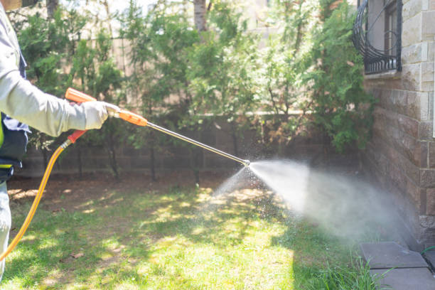 Best Pest Inspection Near Me  in Lagunitas Forest Knolls, CA