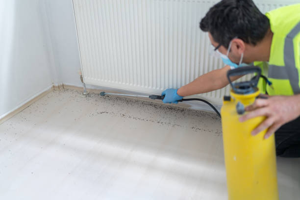 Professional Pest Control in Lagunitas Forest Knolls, CA